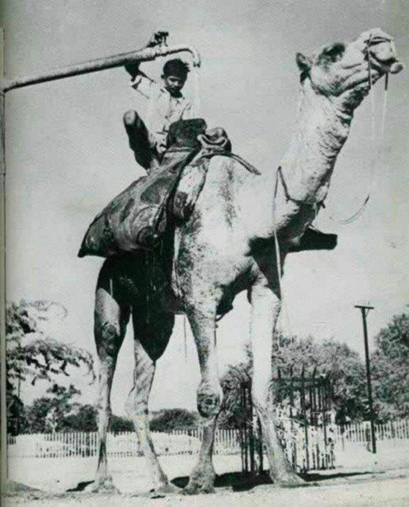 سال۱۹۴۰ میلادی