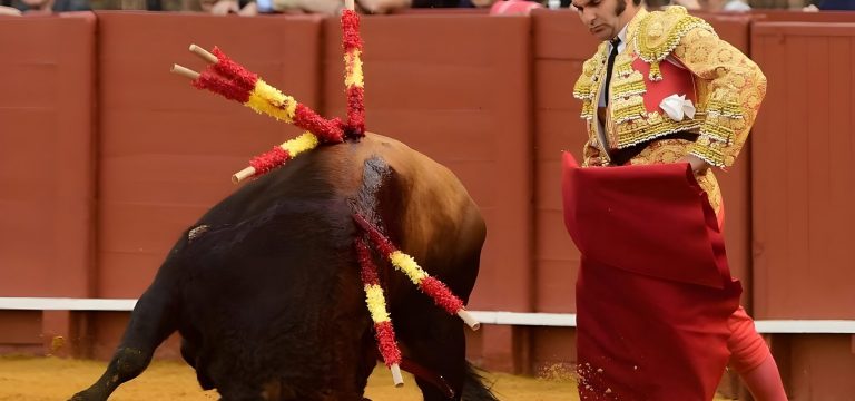 گاوبازی،تقابل انسان با مرگ در گاو بازی