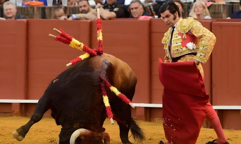 گاوبازی،تقابل انسان با مرگ در گاو بازی